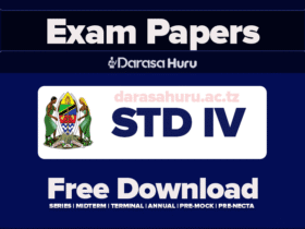 KIGAMBONI DSM Standard Four 4 Mock Exams 2024, Ubungo MC Mock II Exams for Standard Four, 2024, KINONDONI DSM Standard Four Mock II Examination July 2024