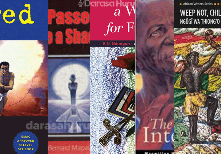 Novels Books Analysis for Secondary School Ordinary Level - Form 3 & 4 PDF