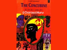 The Concubine by Elechi Amadi Novel Analysis