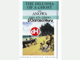 The Dilemma of a Ghost