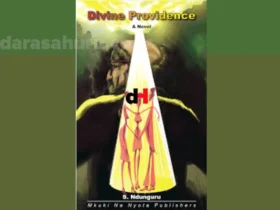 DIVINE PROVIDENCE by Severine Ndunguru, Divine Providence By, Divine Providence by Severine Ndunguru Book Analysis