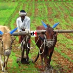 AGRICULTURE FORM I - Darasa Huru, Read Full Notes and Download PDF Free Notes of AGRICULTURE, Agriculture