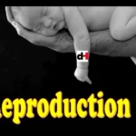 REPRODUCTION