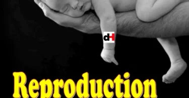 REPRODUCTION
