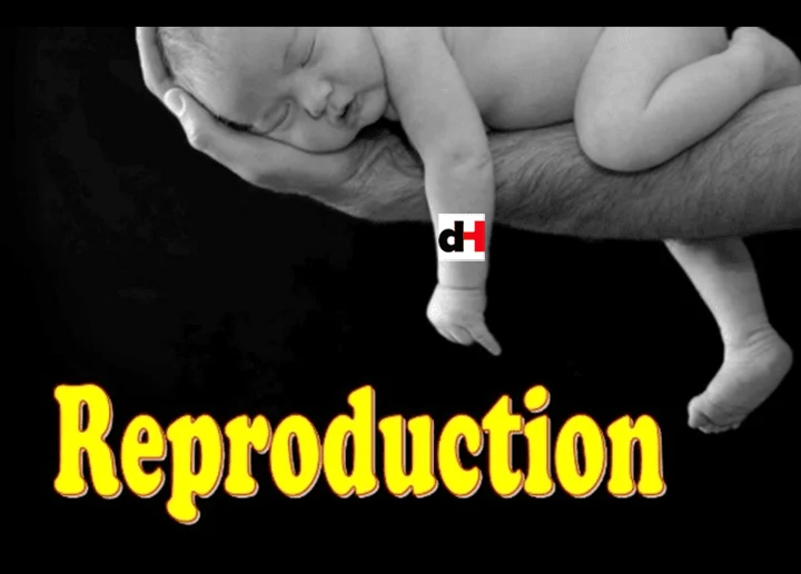 REPRODUCTION