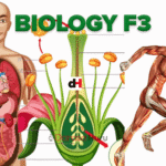 BIOLOGY NOTES FOR FORM THREE