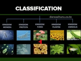 Topic 3: Classification Of Living Things - Biology Notes Form 4, Classification Of Living Things, Classification Of Living Things