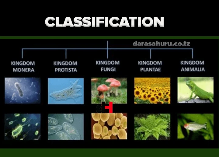 Topic 3: Classification Of Living Things - Biology Notes Form 4, Classification Of Living Things, Classification Of Living Things
