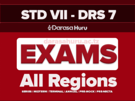 Download Standard Seven (Darasa La Saba) Exams 2025 - All Regions