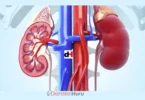 EXCRETION