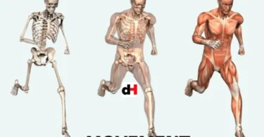 TOPIC 2 MOVEMENT AND LOCOMOTION - BIOLOGY NOTES FORM THREE