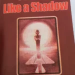 Passed Like a Shadow By Bernard Mapalala Novel Analysis, Novel - Passed Like a Shadow Analysis PDF