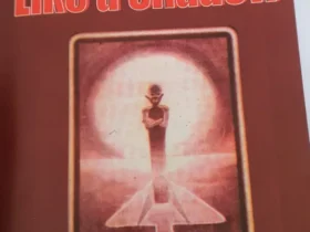 Passed Like a Shadow By Bernard Mapalala Novel Analysis, Novel - Passed Like a Shadow Analysis PDF