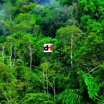 Sustainable Use Of Forest Resources