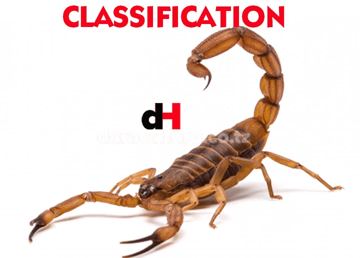 Classification III - Kingdom Animalia - Biology Practical O' Level CSEE