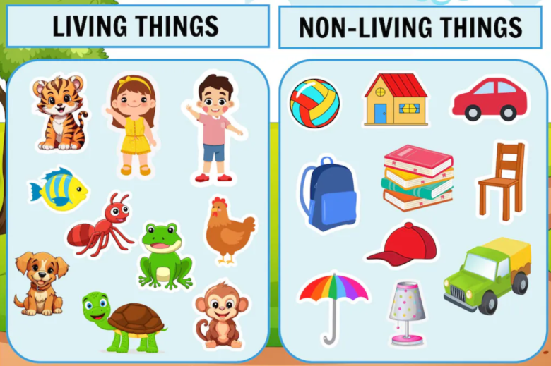 Living And Non-Living Things