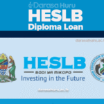 Diploma Waliopata Mkopo HESLB 2025, HESLB Diploma Loan Application Window