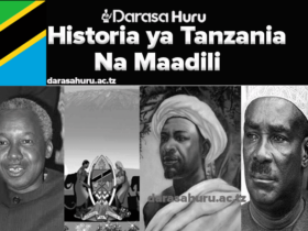 Historia Ya Tanzania Na Maadili Notes For Form One All Topics, Dhana ya Historia ya Tanzania na Maadil, Fursa Zitokanazo na Urithi wa Jamii za Kitanzania, Chimbuko la jamii za Kitanzania na maadili yake, Maadili na urithi wa jamii za Kitanzania, Topic 1: Dhana ya Historia ya Tanzania na Maadili - Form One Notes, Mifumo Katika Jamii za Kitanzania Kabla ya Ukoloni