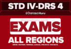 Standard Four (Darasa La Nne) New Format Exams 2025/2026 With Answers All Regions