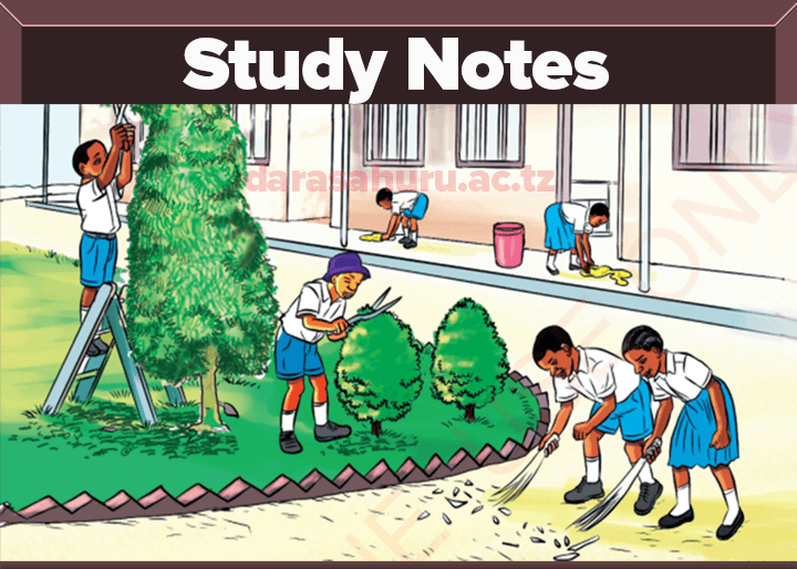 STANDARD I ONE NOTES