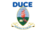 DUCE UDSM Courses and Programmes Offered