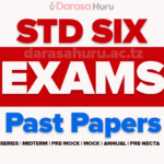 CITIZEN Standard Six Set 11 Examinations 2025