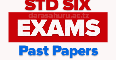 CITIZEN Standard Six Set 11 Examinations 2025