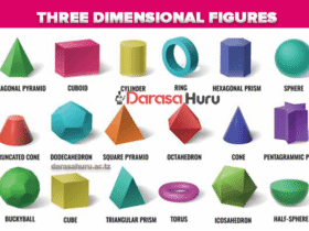 THREE DIMENSIONAL FIGURES