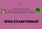 Standard Four New Exam Formats, Standard Four (Darasa La Nne) New Exam Format For SFNA 2025 By NECTA, Geography and Environment-Arts And Sports Standard Four New Exam Format 2025 By NECTA, Science Standard Four New Exam Format 2025 By NECTA, Mathematics Standard Four New Exam Format 2025 By NECTA