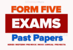 Form Five Annual Examinations 2024 JECAS with Marking Schemes, Form Five Terminal Examinations 2022 Arusha Region, Form Five Examination Past Papers 2025/2026 PDF All Subjects, Form Five Examinations 2025/2026 -Midterm, Terminal & Annual Exams