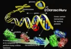 Topic 2: Genetics - Biology Note Form 4