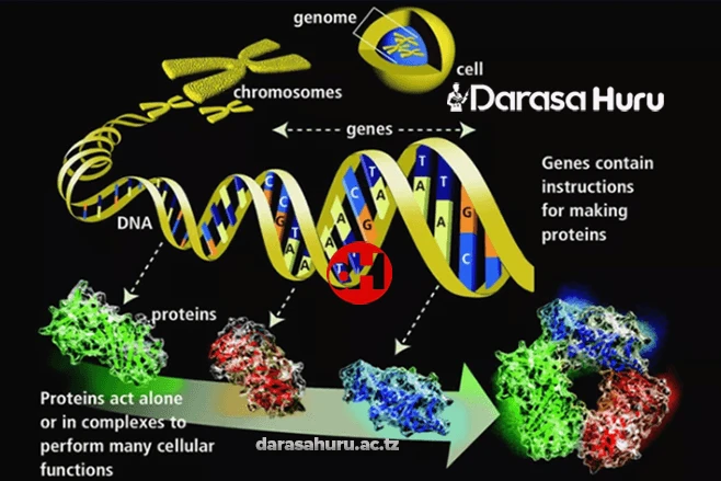 Topic 2: Genetics - Biology Note Form 4