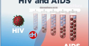Topic 5: Human Immuno Deficiency (HIV), Acquired Immuno Deficiency Syndrome (AIDS), And Sexual Transmitted Infections (STI'S) - Biology Notes Form 4