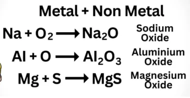 Non Metals and Their Compounds