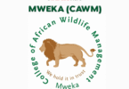 Mweka (CAWM) Online Application 2025/2026