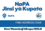 NaPA Reference Number Jinsi ya Kupata