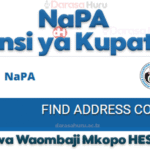 NaPA Reference Number Jinsi ya Kupata