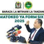 Form Six ACSEE NECTA Results 2025