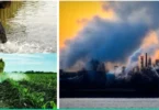 Pollution