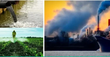Pollution