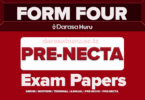 ISESE Form Four Pre NECTA Solved Exams July 2025 With Marking Schemes