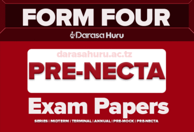 ISESE Form Four Pre NECTA Solved Exams July 2025 With Marking Schemes