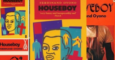 THE HOUSEBOY BY FERDNAND OYONO
