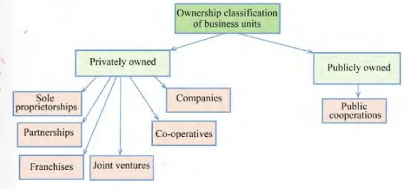 Ownership structure of business units