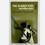 The Barbed Wire By Mukotani Rugyendo