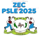 Matokeo Ya Darasa La Saba Zanzibar 2025, Matokeo Ya Darasa La Saba Zanzibar 2025/2026 - Darasa Huru, Zanzibar PSLE Exam Timetable 2025