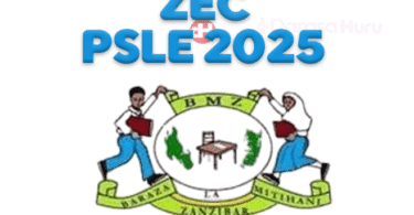 Zanzibar PSLE Exam Timetable 2025