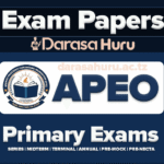 APEO Examinations 2025-Sets and Series For Primary Schools, APEO MOCK EXAMS STANDARD TWO 2025, APEO Standard Seven (Darasa la Saba) Pilot Examinations Mei 2025-Kiswahili Medium, APEO Standard Two Mock Exam 2025, APEO Grade Four Mock Exams May 2025, APEO Grade Two Pre Mock Exams April 2025, APEO Grade Four Pre Mock Exams April 2025, APEO Standard Seven Second Mock Exams 2025, APEO Preparatory Mock Examination For Standard Seven August 2025