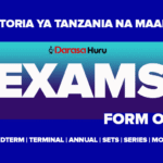 Historia ya Tanzania na Maadili Form One New Syllabus Exams 2025 Midterm, Terminal, Annual and Monthly Exams