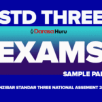 Sample Papers Standard Three National Assessment Exams 2025 PDF Zanzibar